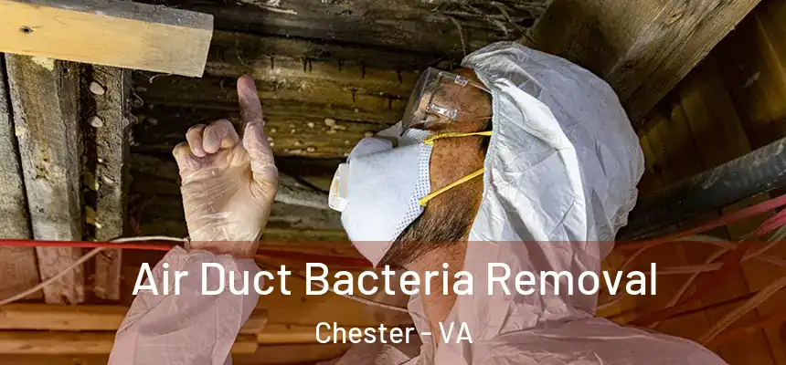  Air Duct Bacteria Removal Chester - VA