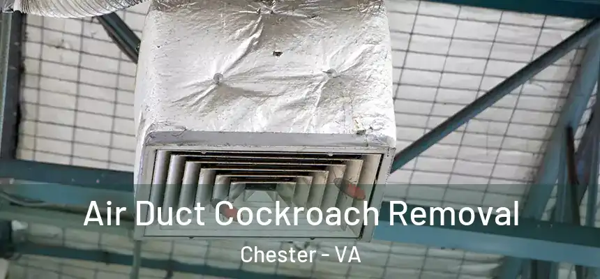  Air Duct Cockroach Removal Chester - VA