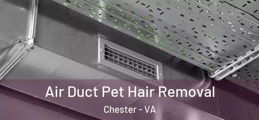  Air Duct Pet Hair Removal Chester - VA