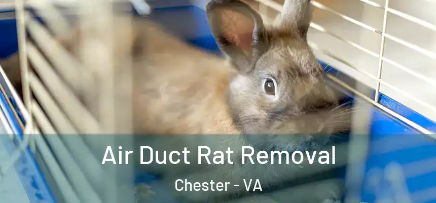  Air Duct Rat Removal Chester - VA