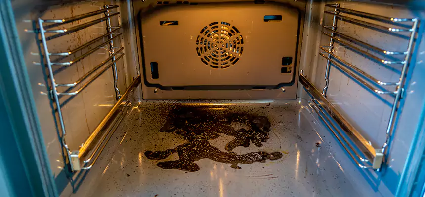 Our Dryer Vent Mold Cleaning Services in Chester, VA