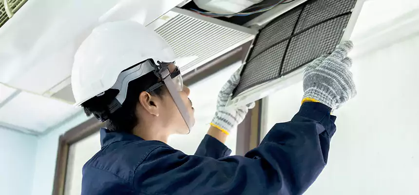 Our Mold & Mildew Removal from Air Ducts Services in Chester, VA