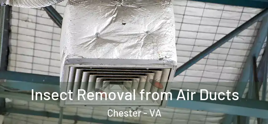Insect Removal from Air Ducts Chester - VA