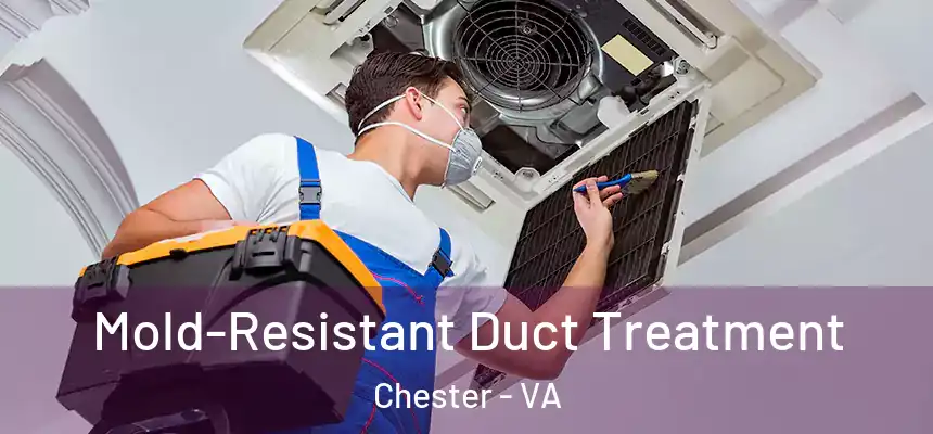  Mold-Resistant Duct Treatment Chester - VA