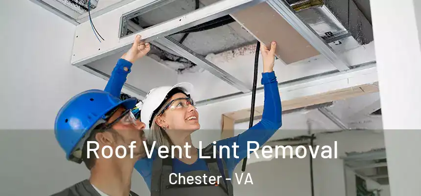  Roof Vent Lint Removal Chester - VA