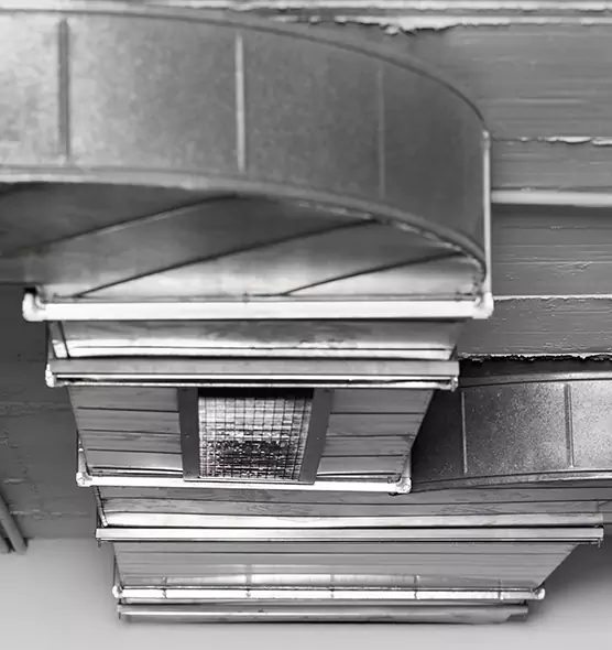 Professional Air Duct Pest Removal in Chester, VA