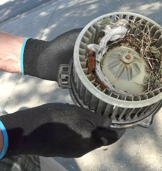 About Air Duct Rat Removal in Chester, VA