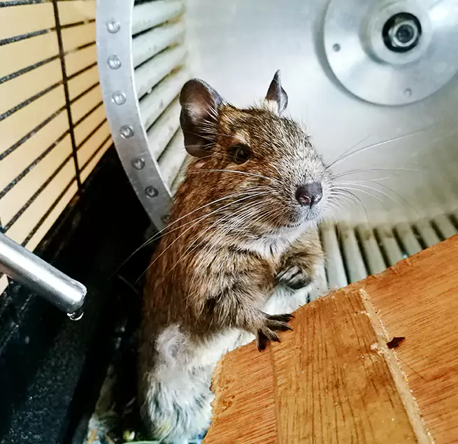 Why Homeowners & Businesses Trust Us Chester, VA?