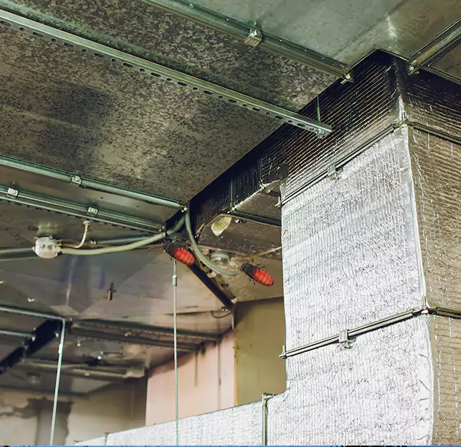 Why Homeowners & Businesses Trust Us Chester, VA?