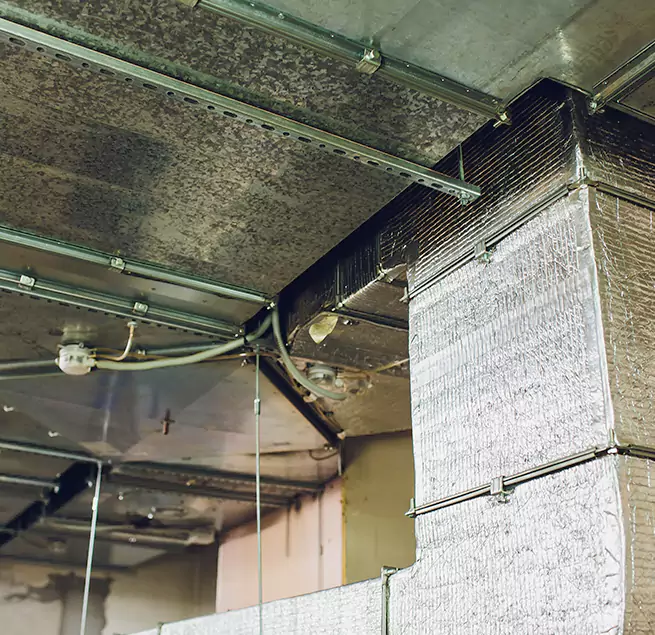 Why Homeowners & Businesses Trust Us in Chester, VA?